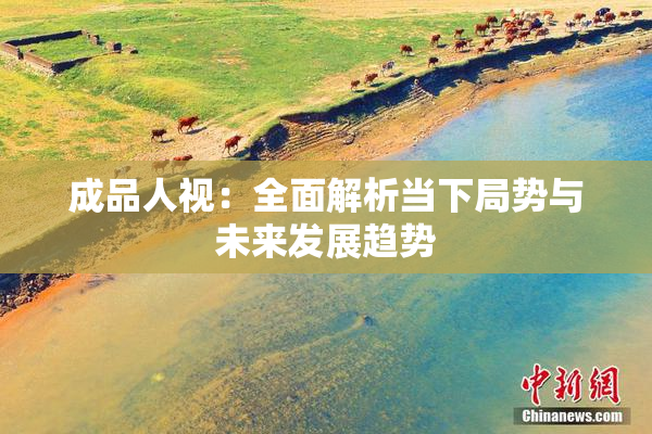 成品人视：全面解析当下局势与未来发展趋势