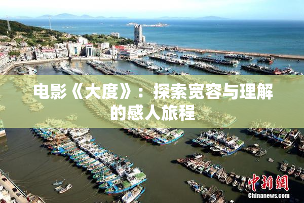 电影《大度》：探索宽容与理解的感人旅程