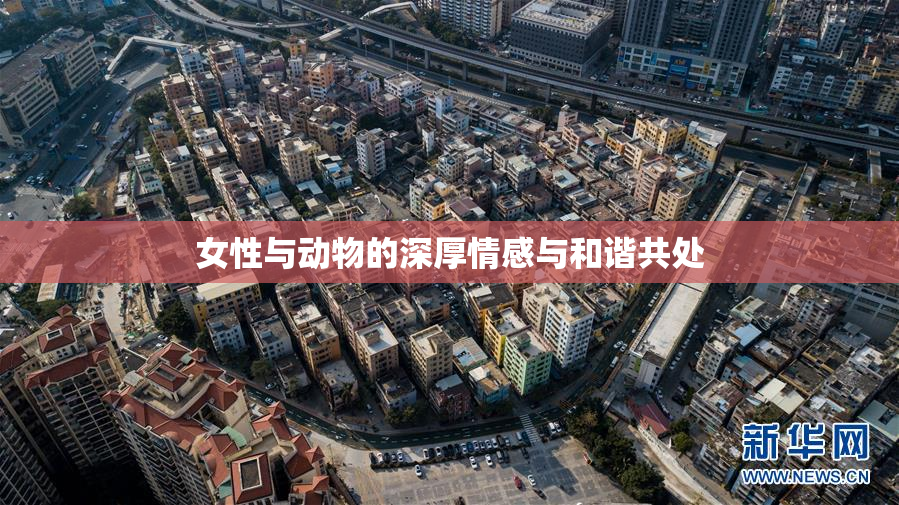 女性与动物的深厚情感与和谐共处