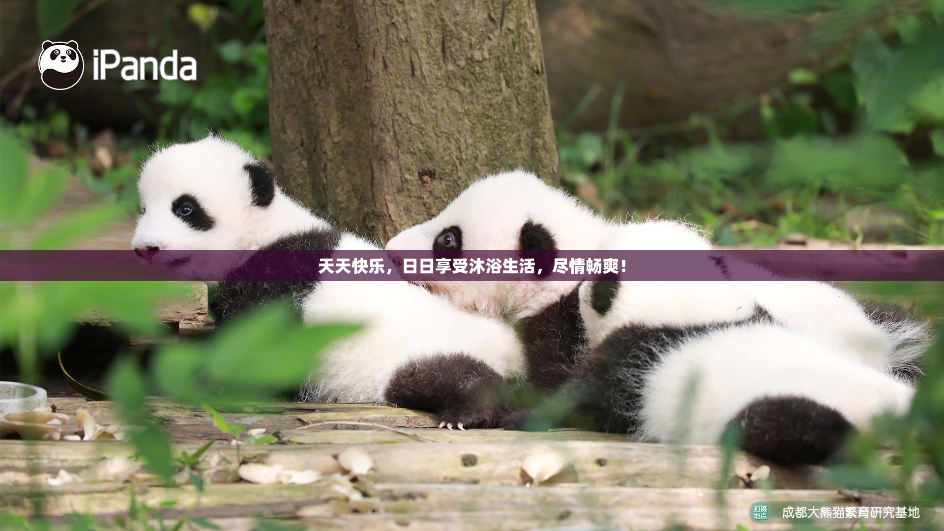 天天快乐，日日享受沐浴生活，尽情畅爽！
