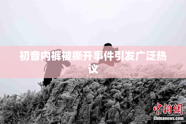 初音内裤被撕开事件引发广泛热议