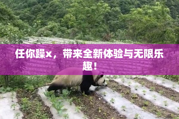 任你躁x，带来全新体验与无限乐趣！