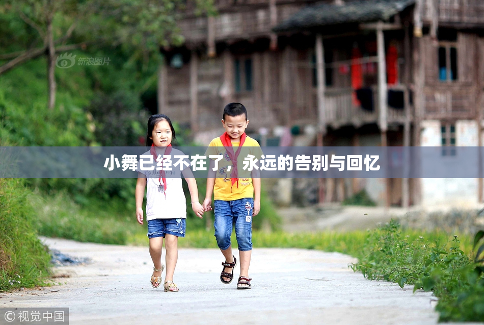 小舞已经不在了，永远的告别与回忆