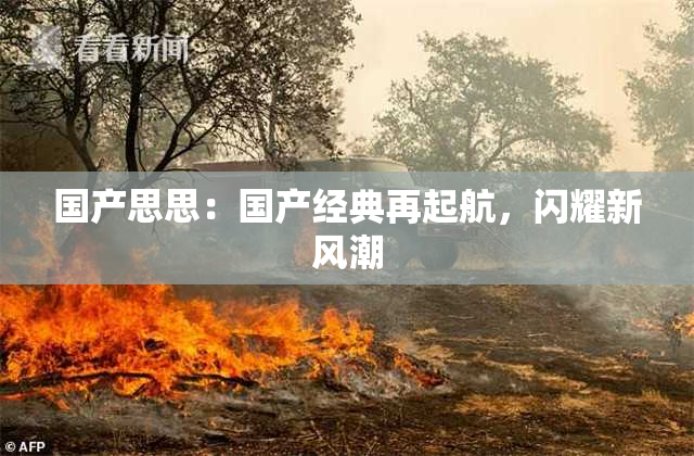 国产思思：国产经典再起航，闪耀新风潮