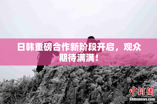 日韩重磅合作新阶段开启，观众期待满满！