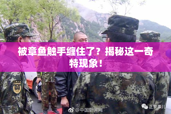 被章鱼触手缠住了？揭秘这一奇特现象！