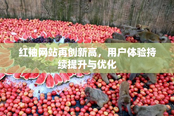 红袖网站再创新高，用户体验持续提升与优化