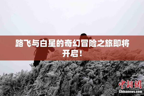 路飞与白星的奇幻冒险之旅即将开启！