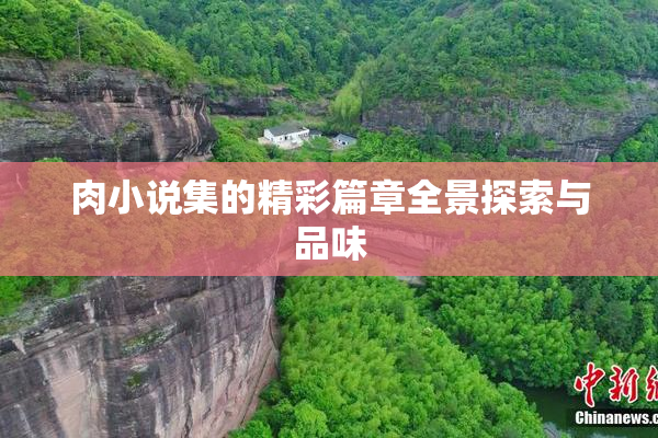 肉小说集的精彩篇章全景探索与品味