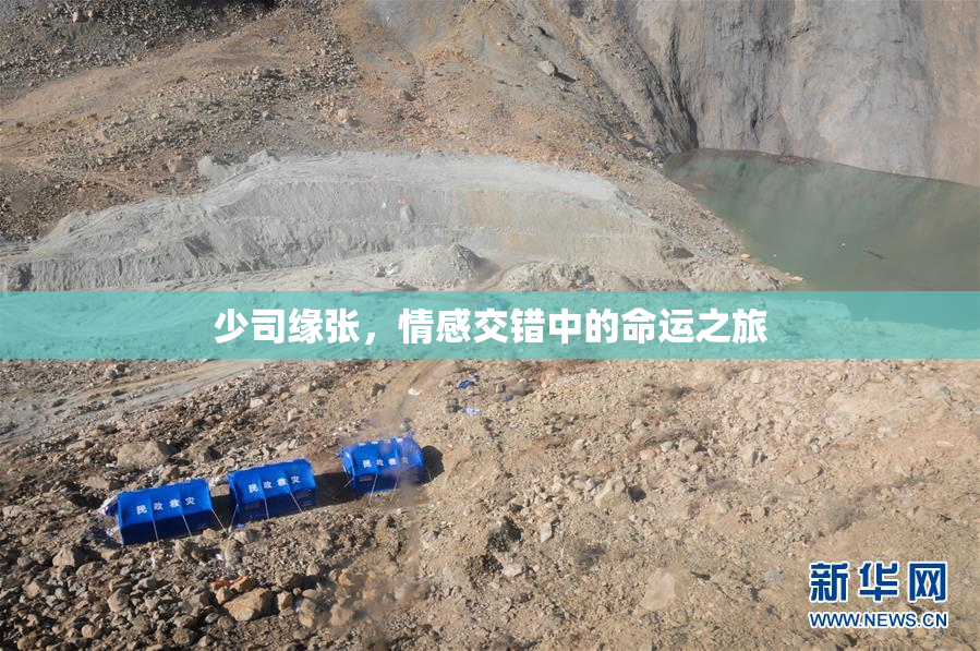 少司缘张，情感交错中的命运之旅
