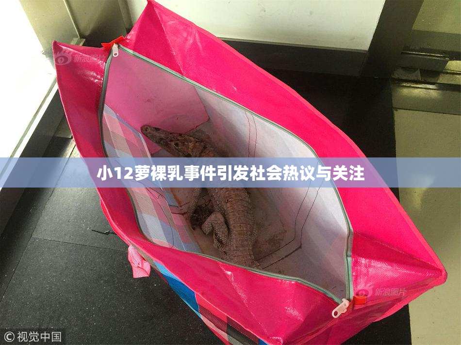 小12萝裸乳事件引发社会热议与关注
