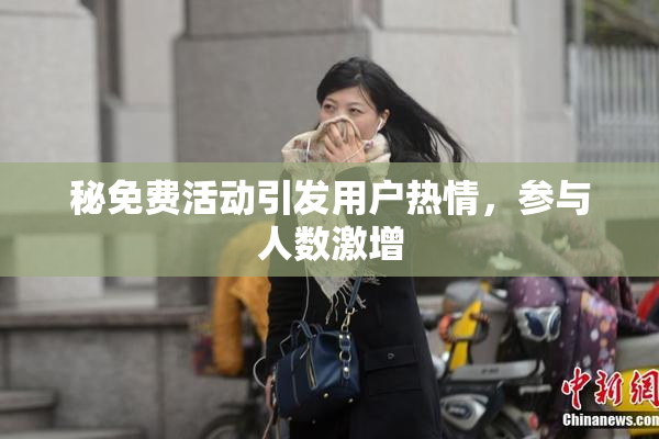 秘免费活动引发用户热情，参与人数激增