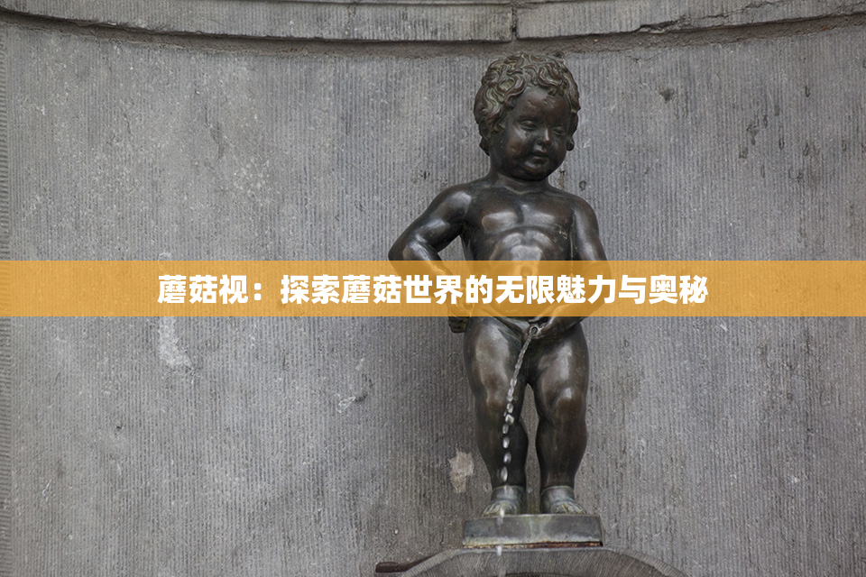 蘑菇视：探索蘑菇世界的无限魅力与奥秘