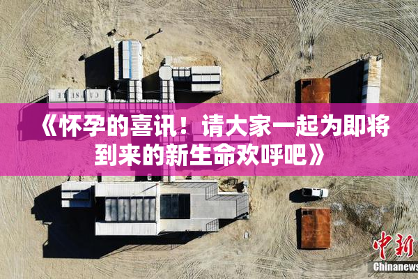 《怀孕的喜讯！请大家一起为即将到来的新生命欢呼吧》