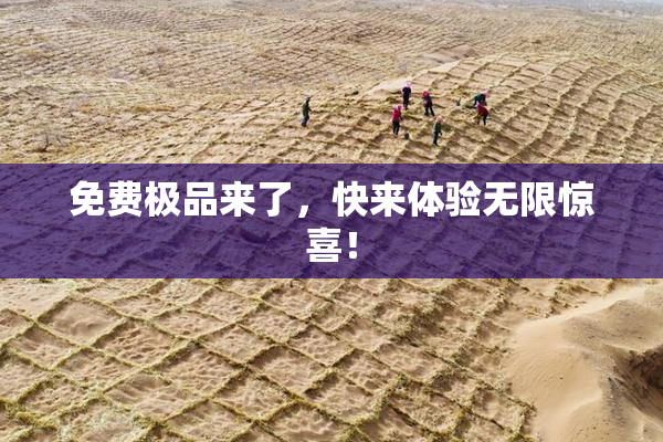 免费极品来了，快来体验无限惊喜！