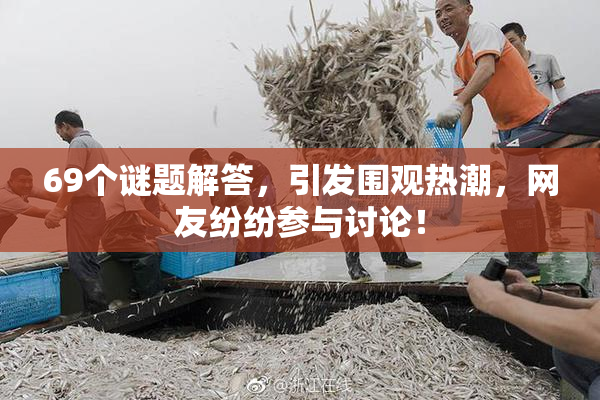 69个谜题解答，引发围观热潮，网友纷纷参与讨论！