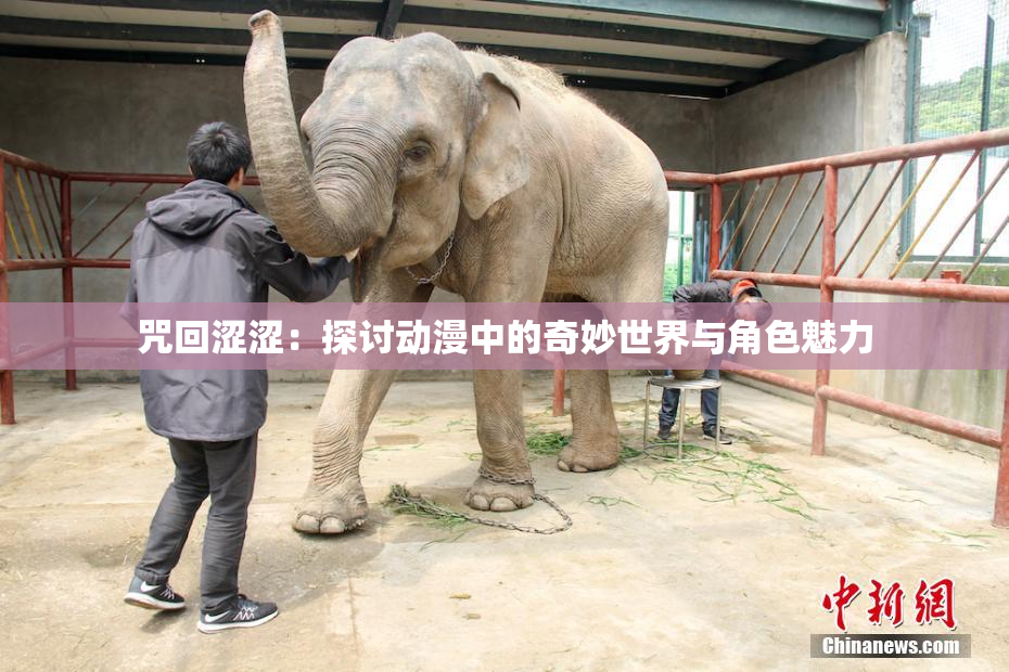 咒回涩涩：探讨动漫中的奇妙世界与角色魅力