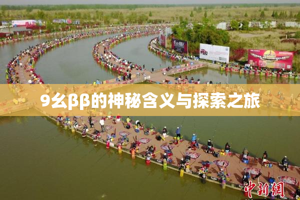 9幺ββ的神秘含义与探索之旅