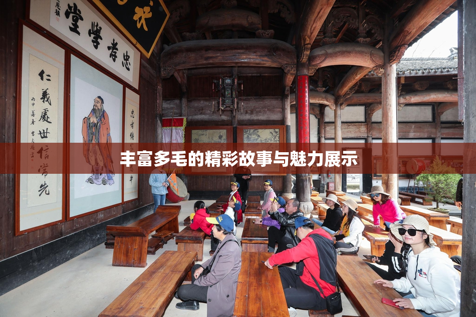 丰富多毛的精彩故事与魅力展示