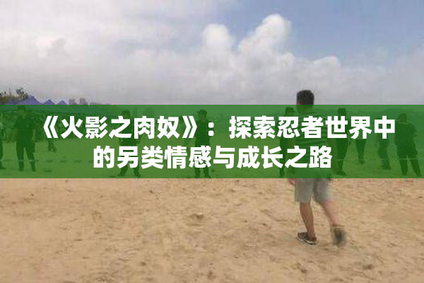 《火影之肉奴》：探索忍者世界中的另类情感与成长之路