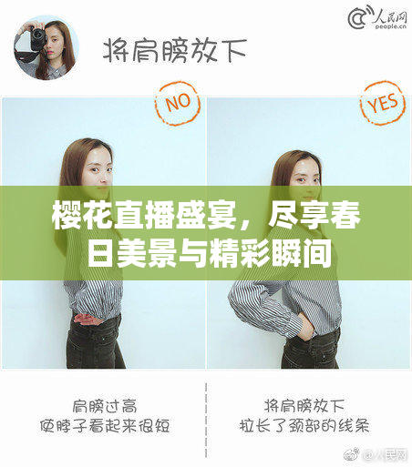 樱花直播盛宴，尽享春日美景与精彩瞬间