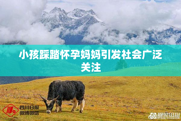 小孩踩踏怀孕妈妈引发社会广泛关注