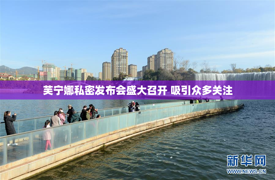芙宁娜私密发布会盛大召开 吸引众多关注