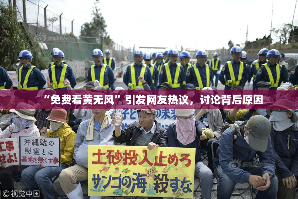 “免费看黄无风”引发网友热议，讨论背后原因