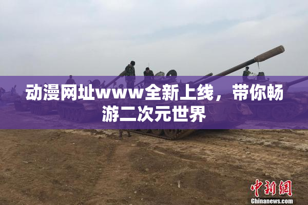 动漫网址www全新上线，带你畅游二次元世界