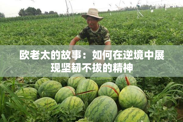 欧老太的故事：如何在逆境中展现坚韧不拔的精神