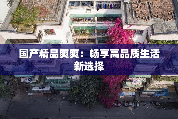国产精品爽爽：畅享高品质生活新选择