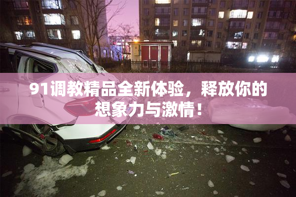 91调教精品全新体验，释放你的想象力与激情！