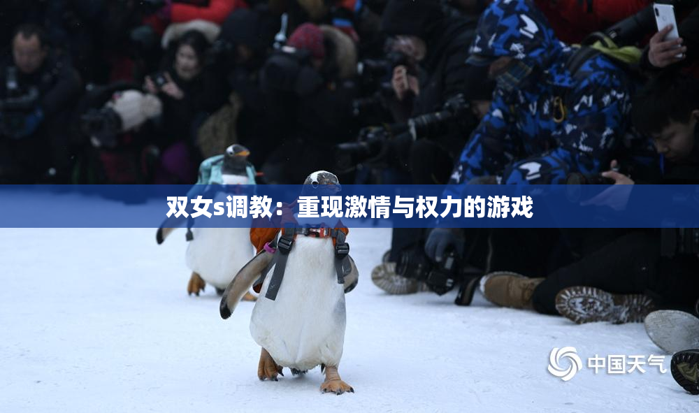 双女s调教：重现激情与权力的游戏