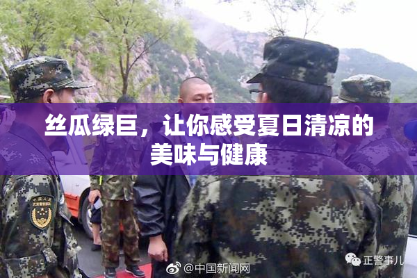 丝瓜绿巨，让你感受夏日清凉的美味与健康