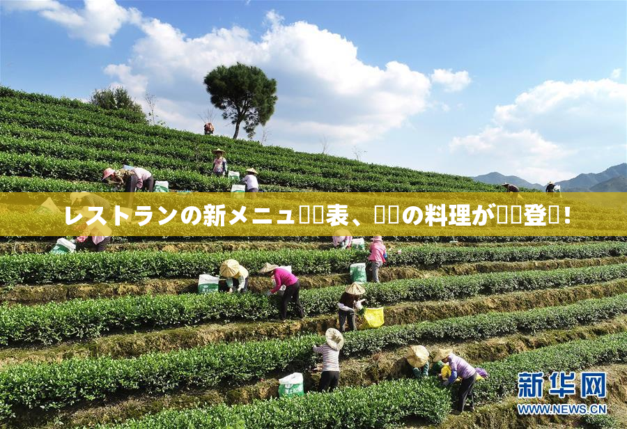 レストランの新メニュー発表、話題の料理が続々登場！