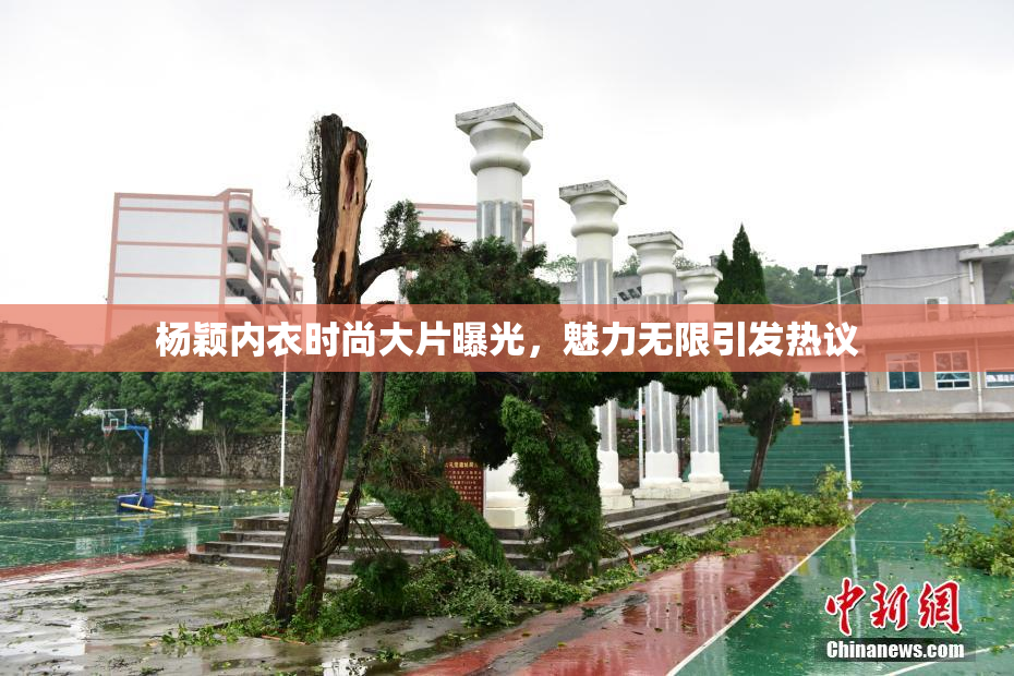 杨颖内衣时尚大片曝光，魅力无限引发热议