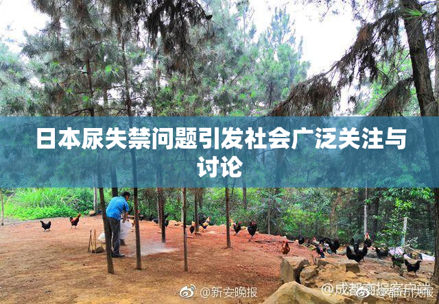 日本尿失禁问题引发社会广泛关注与讨论