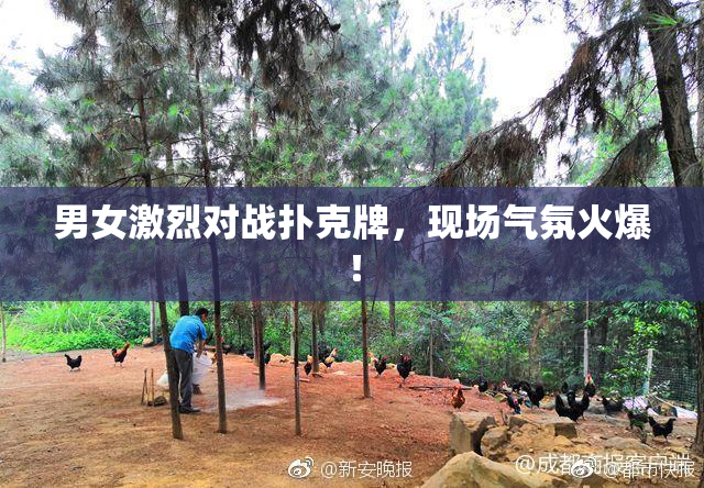 男女激烈对战扑克牌，现场气氛火爆！