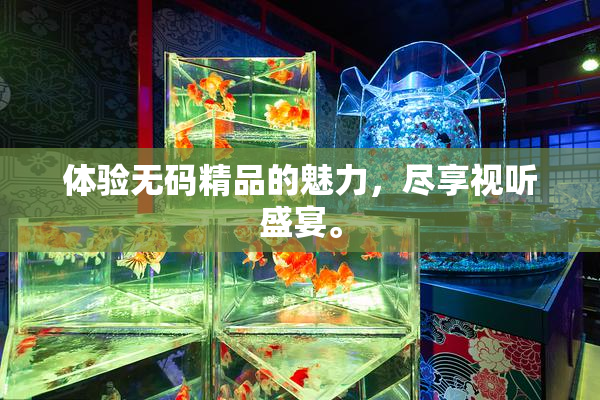体验无码精品的魅力，尽享视听盛宴。