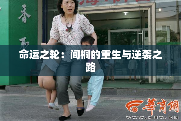 命运之轮：间桐的重生与逆袭之路