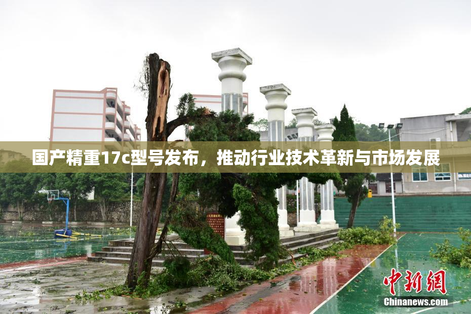 国产精重17c型号发布，推动行业技术革新与市场发展