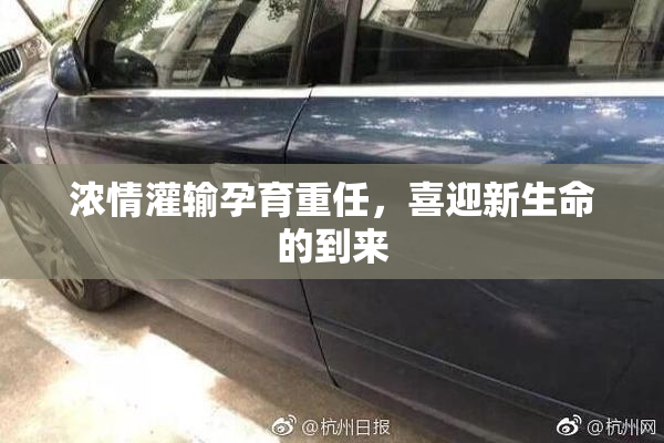 浓情灌输孕育重任，喜迎新生命的到来
