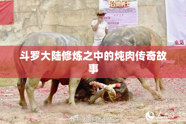 斗罗大陆修炼之中的炖肉传奇故事