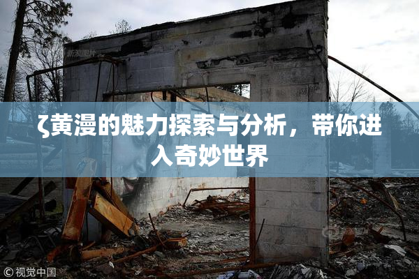 ζ黄漫的魅力探索与分析，带你进入奇妙世界