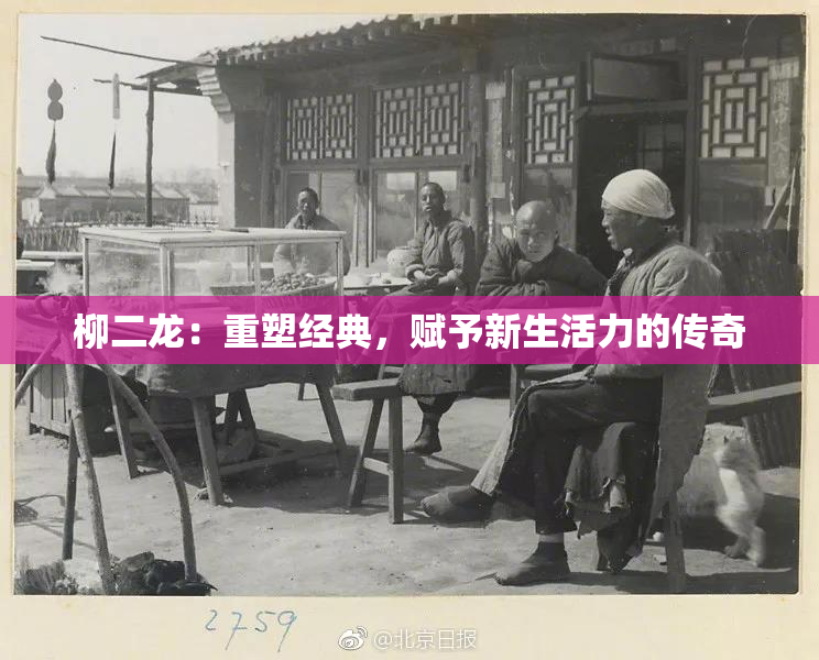 柳二龙：重塑经典，赋予新生活力的传奇