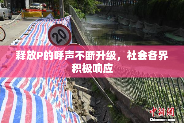 释放P的呼声不断升级，社会各界积极响应
