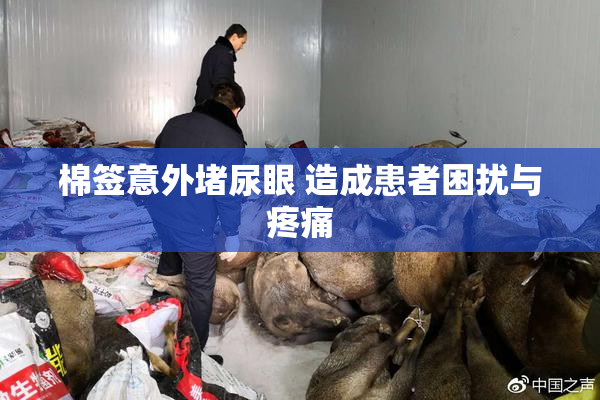 棉签意外堵尿眼 造成患者困扰与疼痛