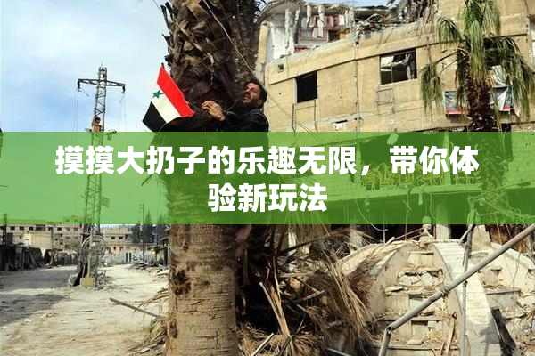 摸摸大扔子的乐趣无限，带你体验新玩法