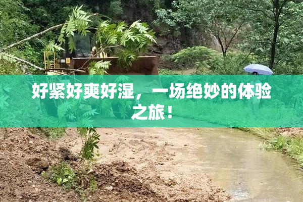 好紧好爽好湿，一场绝妙的体验之旅！