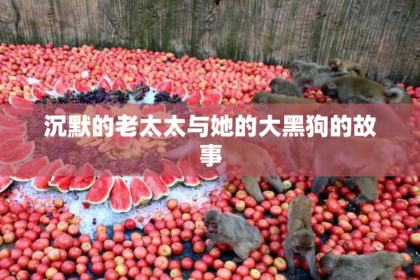 沉默的老太太与她的大黑狗的故事